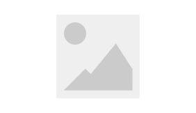 業(yè)務(wù)團(tuán)隊(duì)